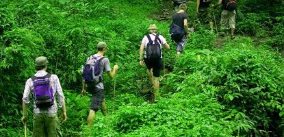 Nature walks in Fiji